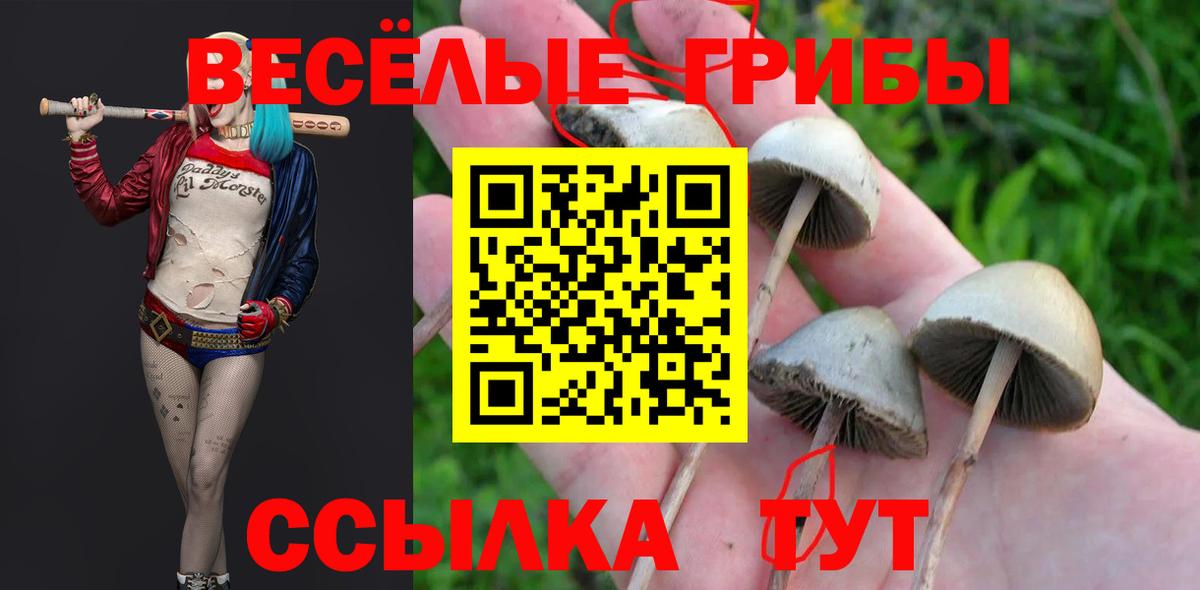 Галлюциногенные грибы ЛСД Воронеж