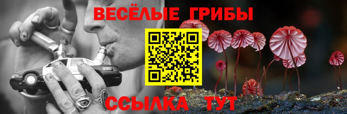 Галлюциногенные грибы мицелий  Вход с VPN  Воронеж 